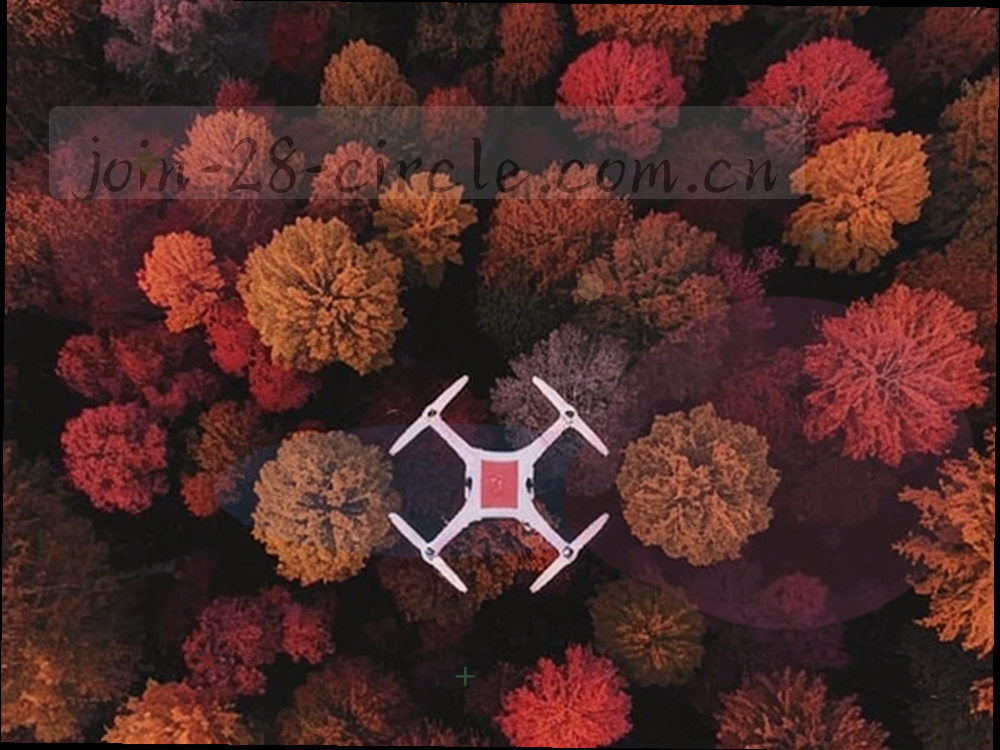 按年份分层叠放的文件夹与标签组成的档案图形